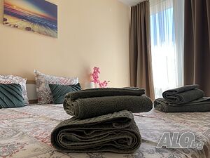 image_11