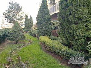 image_18