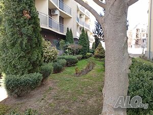 image_19