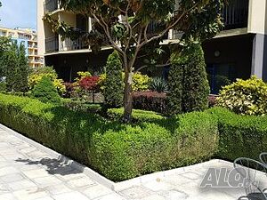 image_20