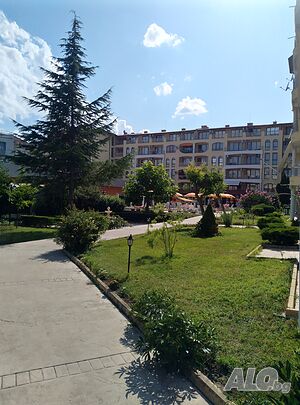 image_8
