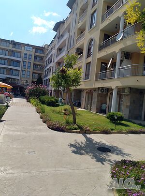 image_6