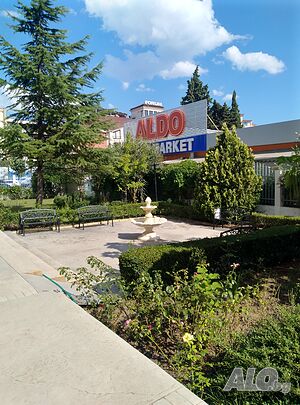image_5
