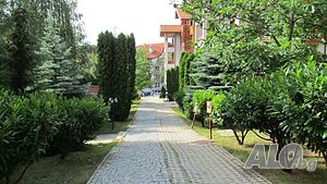 image_24