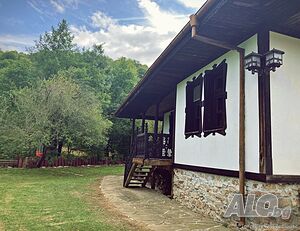 image_6