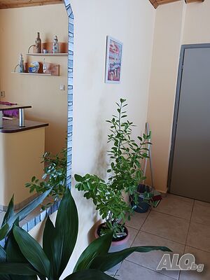 image_43