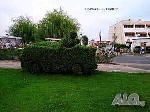 image_47