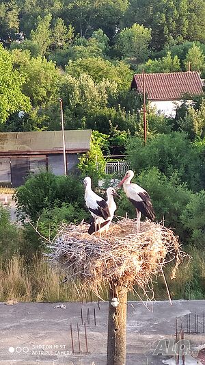 image_23
