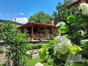 image_24