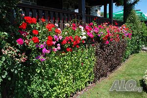 image_30