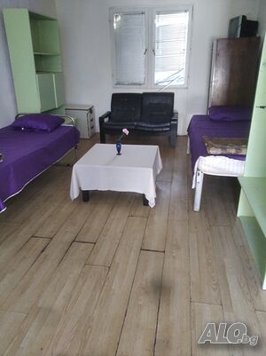 Стая под наем стаи под наем за нощувки