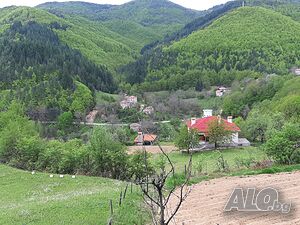 image_11