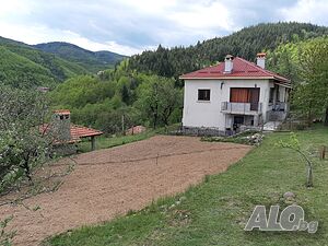 image_19