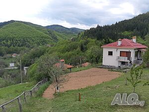 image_21