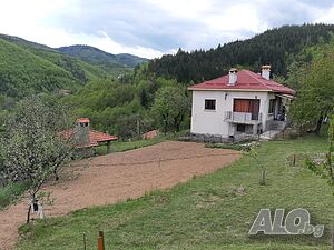 image_22