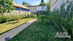 image_11
