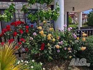 image_21