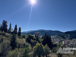 image_15