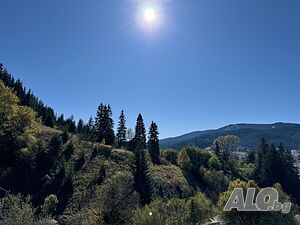 image_17