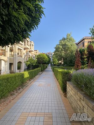 image_16