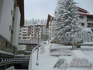 image_3