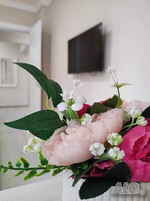 image_11