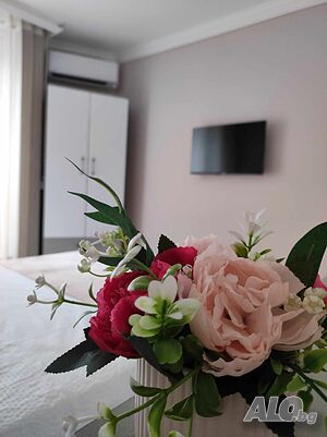 image_15
