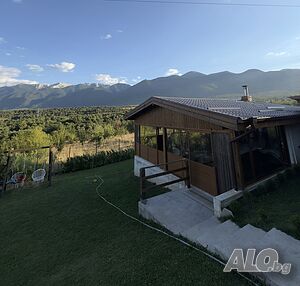 image_11