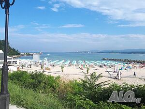 image_7