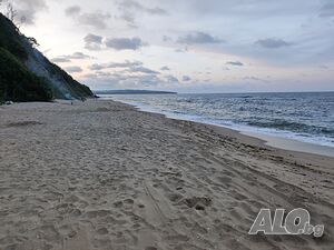 image_21