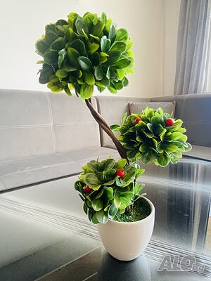 image_4