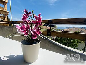 image_18