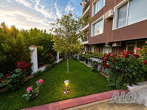 image_19