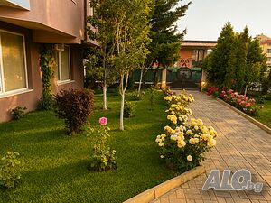 image_18