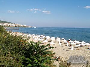 image_22