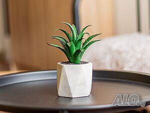 image_10