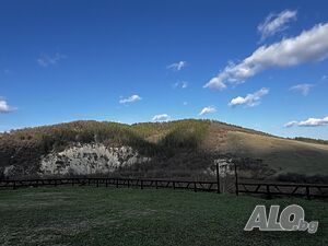 image_13