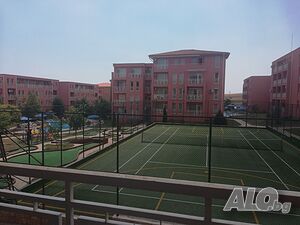 image_15