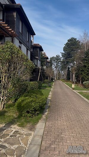 image_14
