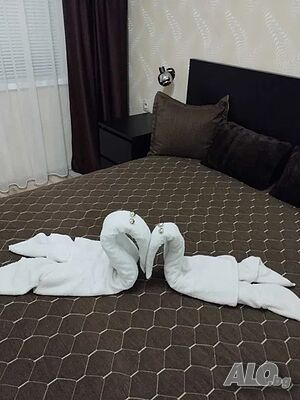 image_12