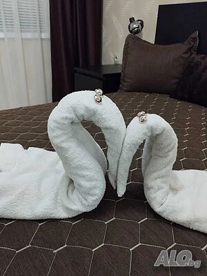 image_13
