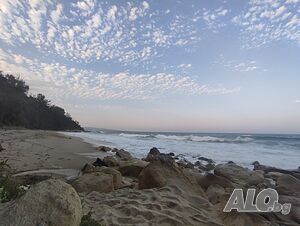image_31