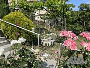 image_20