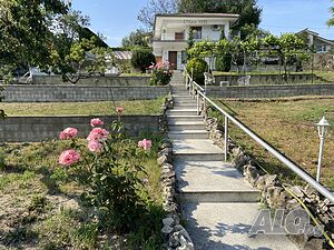 image_25