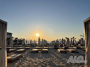 image_11