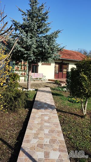 image_8