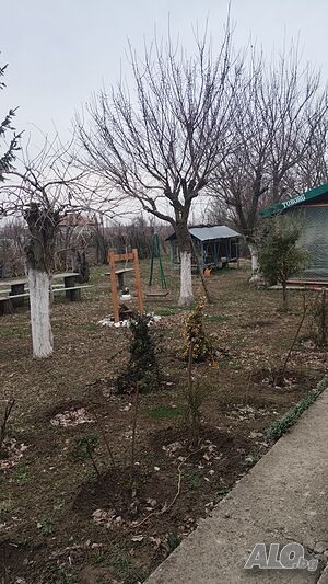 image_12