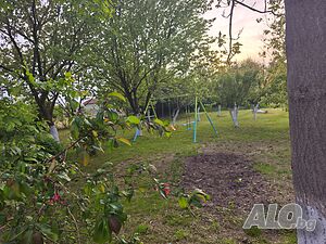 image_23