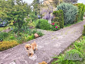 image_24