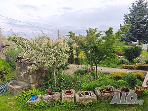 image_25